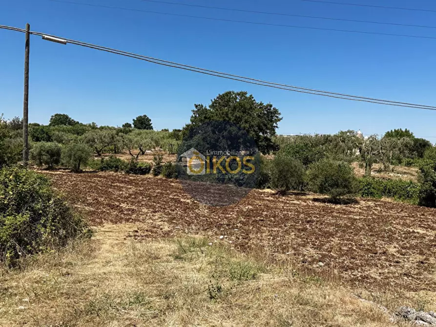 Immagine 7 di Terreno agricolo in vendita  in contrada Aratico snc a Monopoli