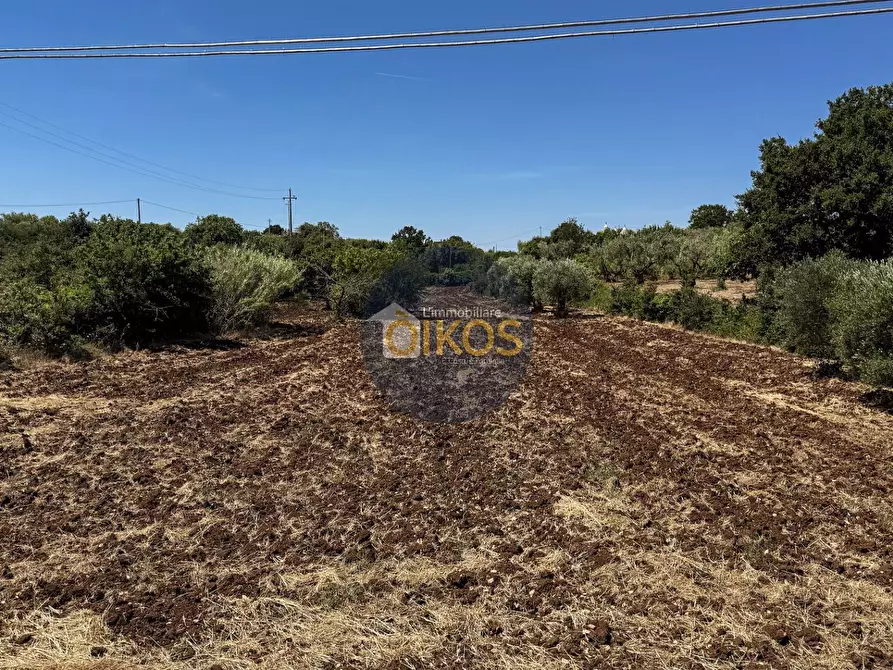 Immagine 8 di Terreno agricolo in vendita  in contrada Aratico snc a Monopoli