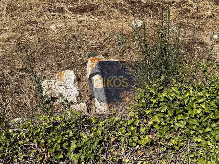 Immagine 11 di Terreno agricolo in vendita  in contrada Aratico snc a Monopoli