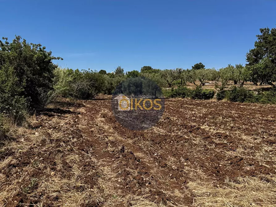 Immagine 10 di Terreno agricolo in vendita  in contrada Aratico snc a Monopoli