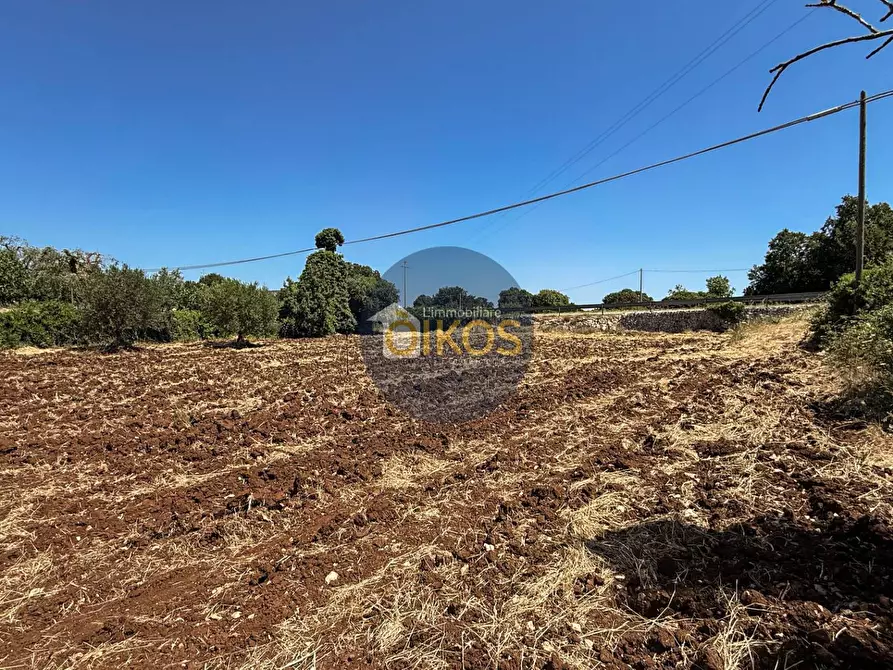 Immagine 9 di Terreno agricolo in vendita  in contrada Aratico snc a Monopoli
