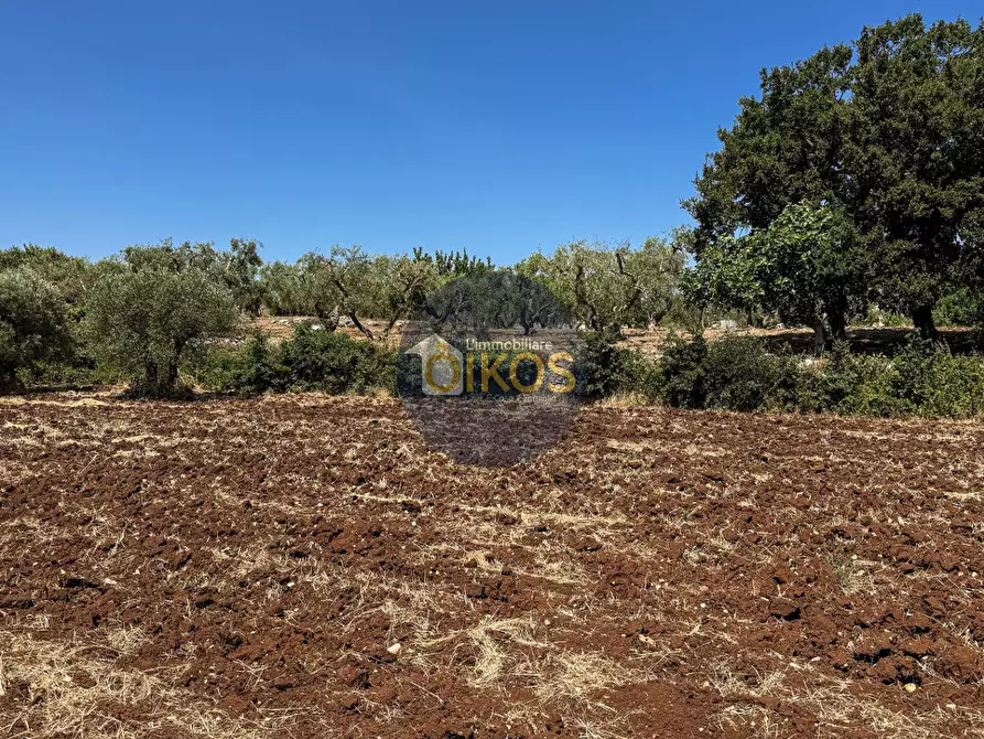 Immagine 13 di Terreno agricolo in vendita  in contrada Aratico snc a Monopoli