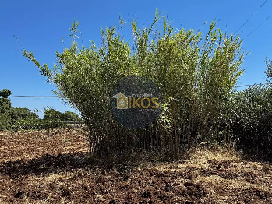 Immagine 16 di Terreno agricolo in vendita  in contrada Aratico snc a Monopoli