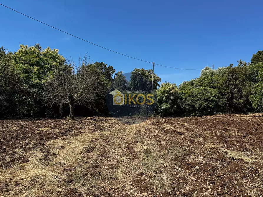 Immagine 18 di Terreno agricolo in vendita  in contrada Aratico snc a Monopoli