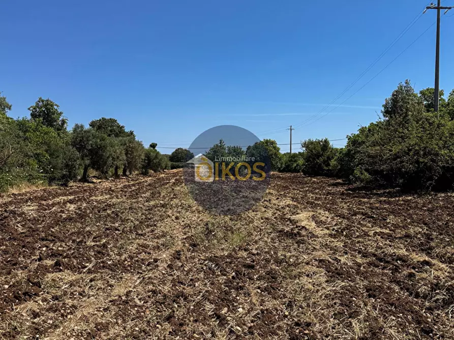 Immagine 19 di Terreno agricolo in vendita  in contrada Aratico snc a Monopoli