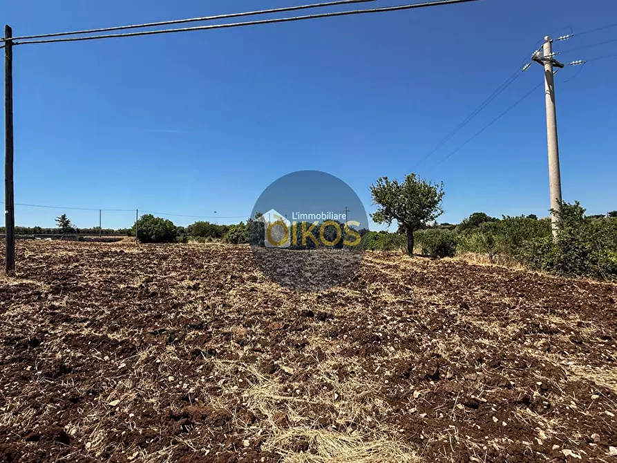 Immagine 20 di Terreno agricolo in vendita  in contrada Aratico snc a Monopoli