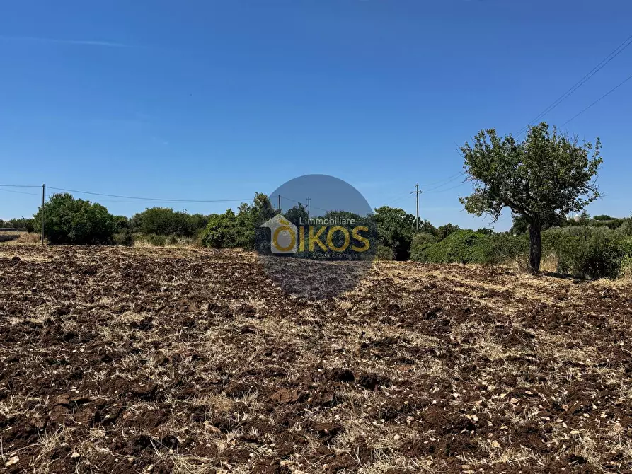 Immagine 22 di Terreno agricolo in vendita  in contrada Aratico snc a Monopoli