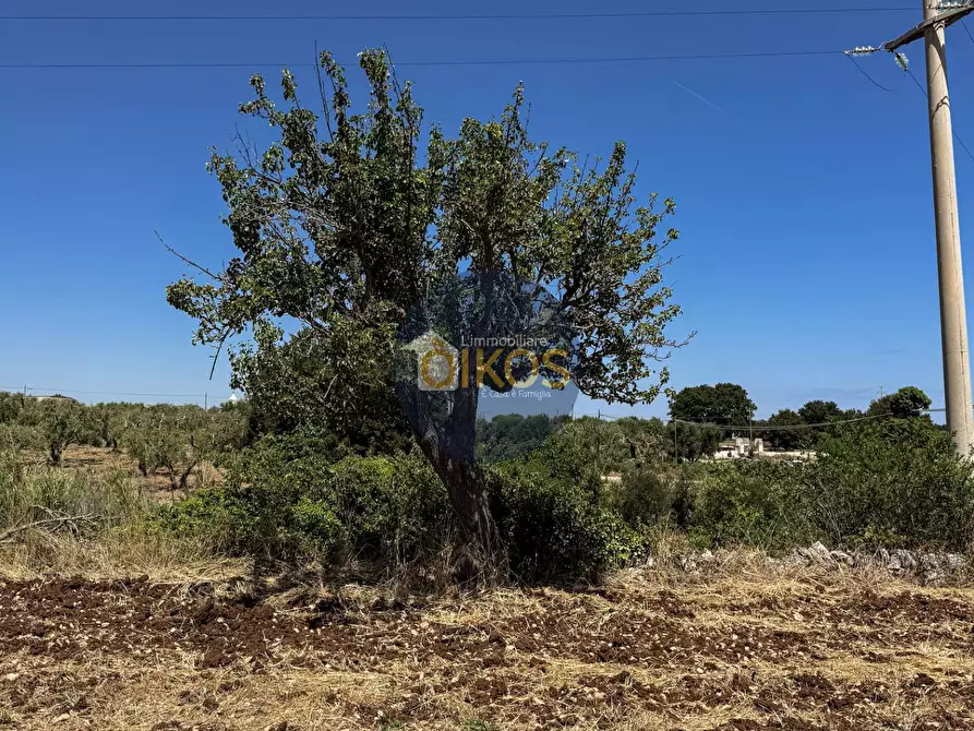 Immagine 21 di Terreno agricolo in vendita  in contrada Aratico snc a Monopoli