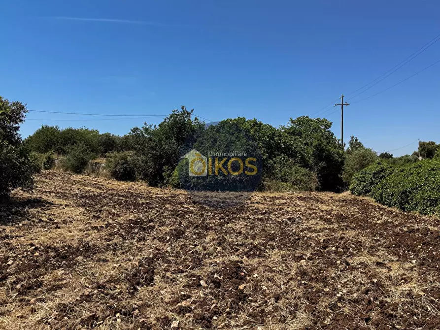 Immagine 25 di Terreno agricolo in vendita  in contrada Aratico snc a Monopoli