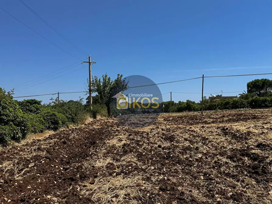 Immagine 24 di Terreno agricolo in vendita  in contrada Aratico snc a Monopoli