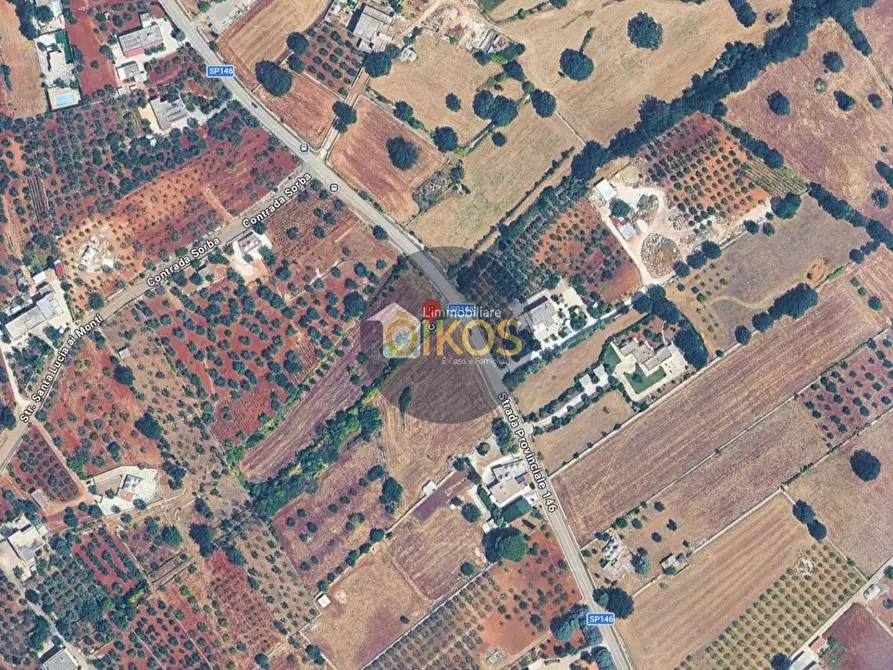 Immagine 35 di Terreno agricolo in vendita  in contrada Aratico snc a Monopoli