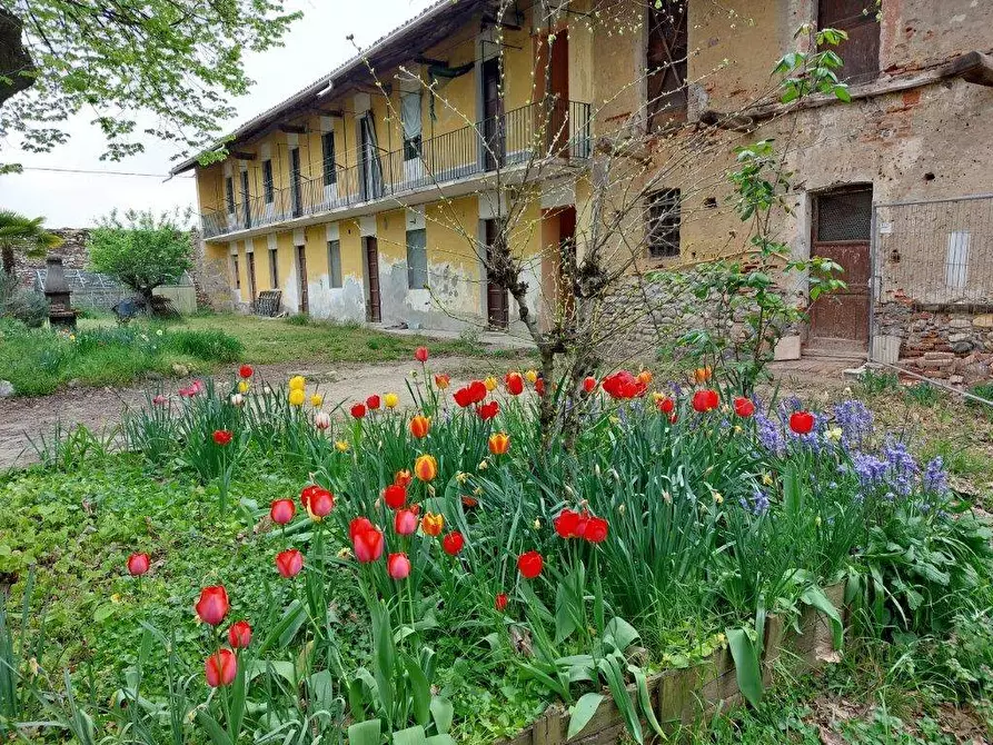 Immagine 3 di Azienda agricola in vendita  in TICINO a Cameri