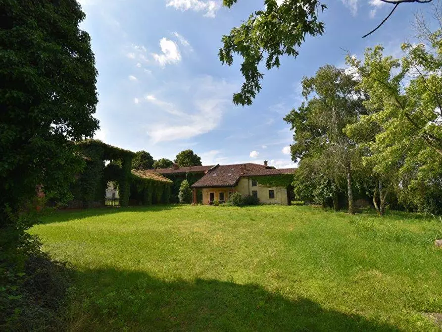 Immagine 4 di Azienda agricola in vendita  in TICINO a Cameri