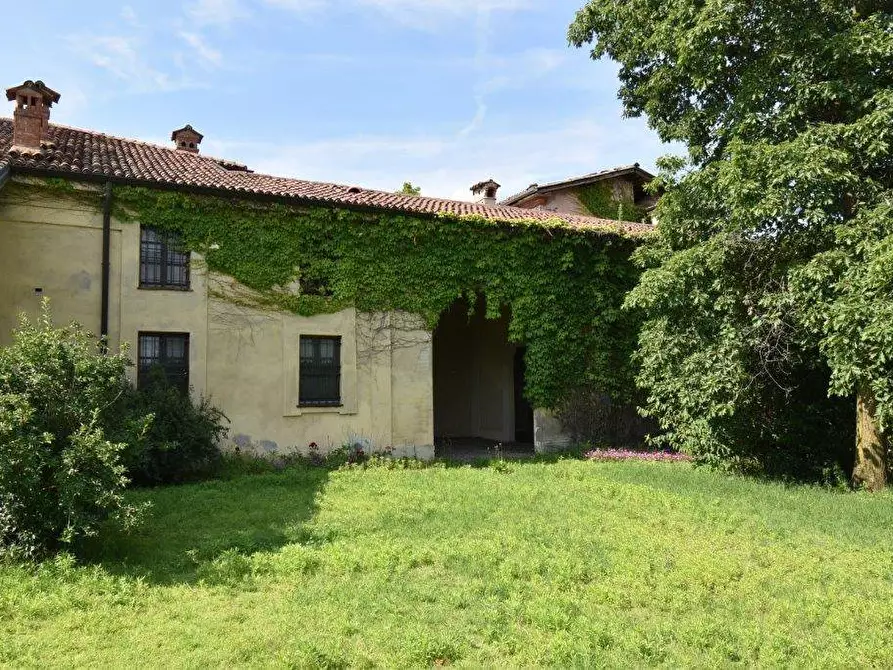 Immagine 5 di Azienda agricola in vendita  in TICINO a Cameri
