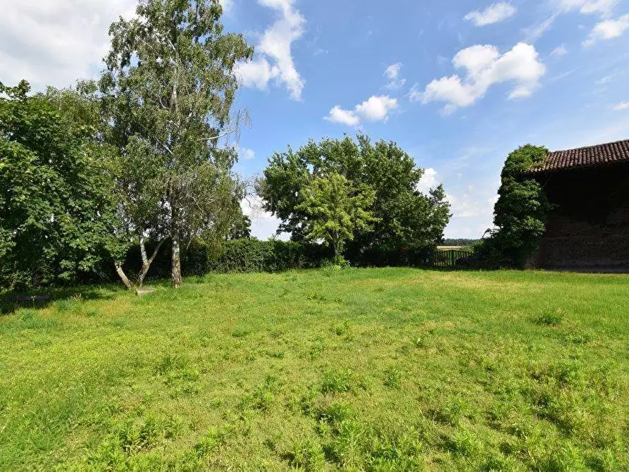 Immagine 7 di Azienda agricola in vendita  in TICINO a Cameri
