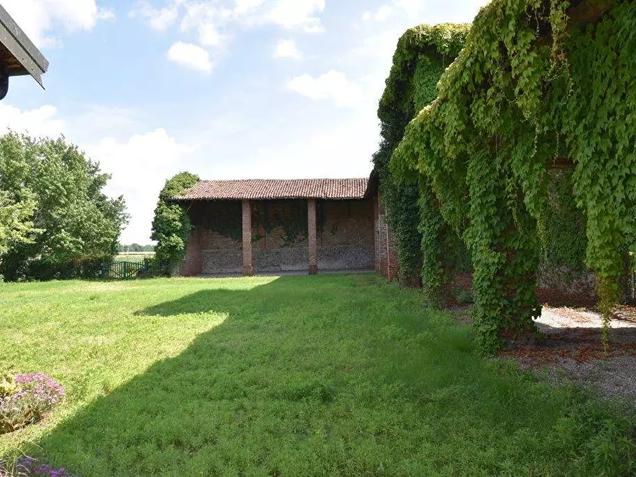 Immagine 10 di Azienda agricola in vendita  in TICINO a Cameri