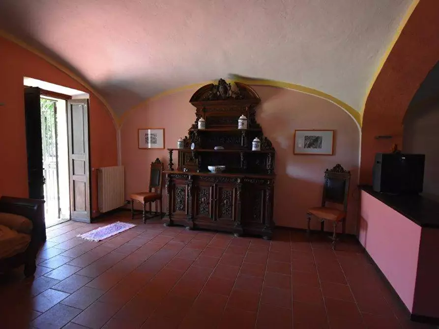 Immagine 15 di Azienda agricola in vendita  in TICINO a Cameri