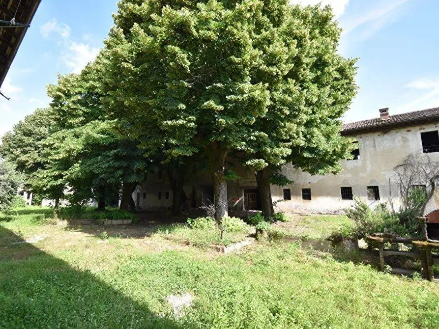 Immagine 38 di Azienda agricola in vendita  in TICINO a Cameri