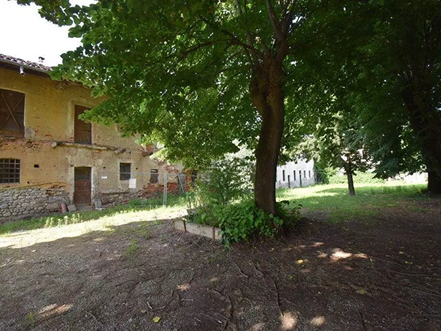 Immagine 40 di Azienda agricola in vendita  in TICINO a Cameri