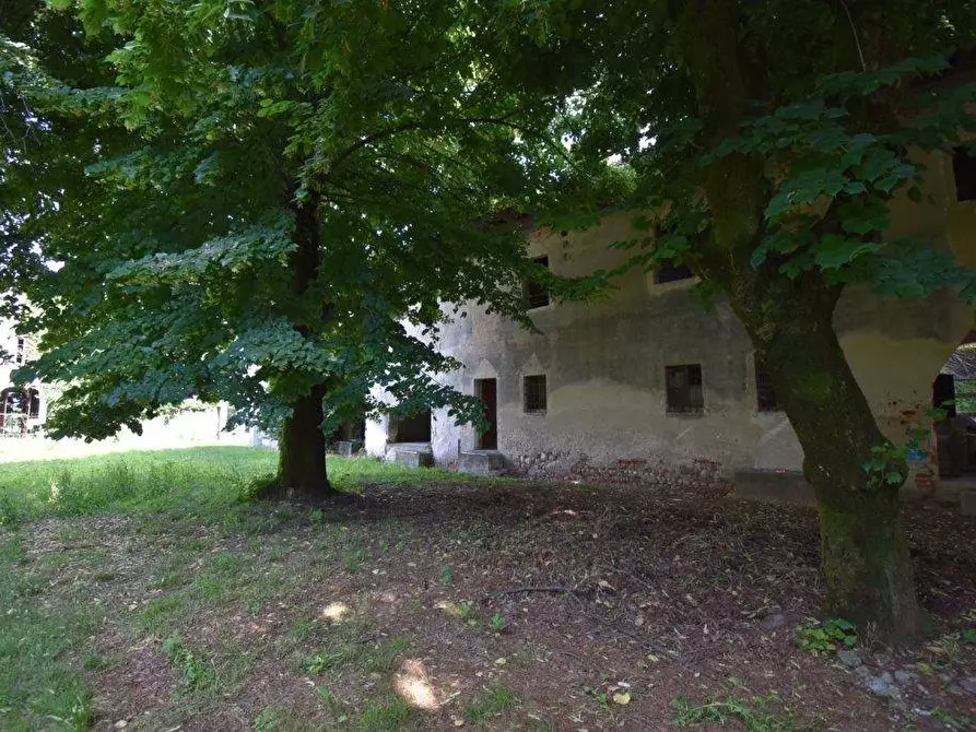 Immagine 42 di Azienda agricola in vendita  in TICINO a Cameri