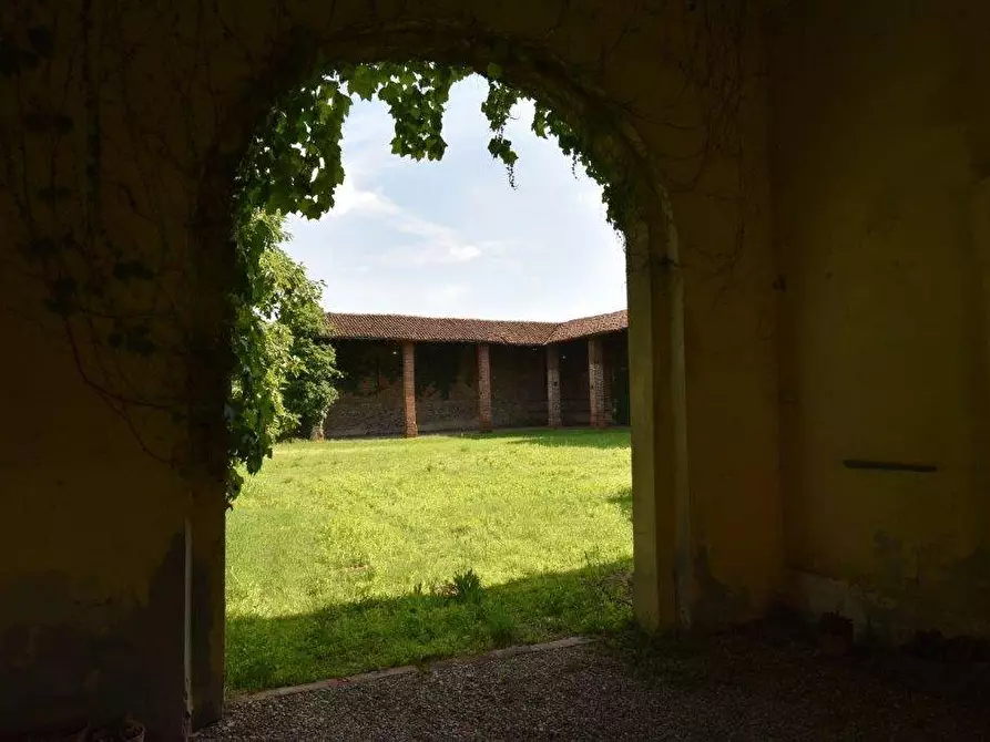 Immagine 46 di Azienda agricola in vendita  in TICINO a Cameri