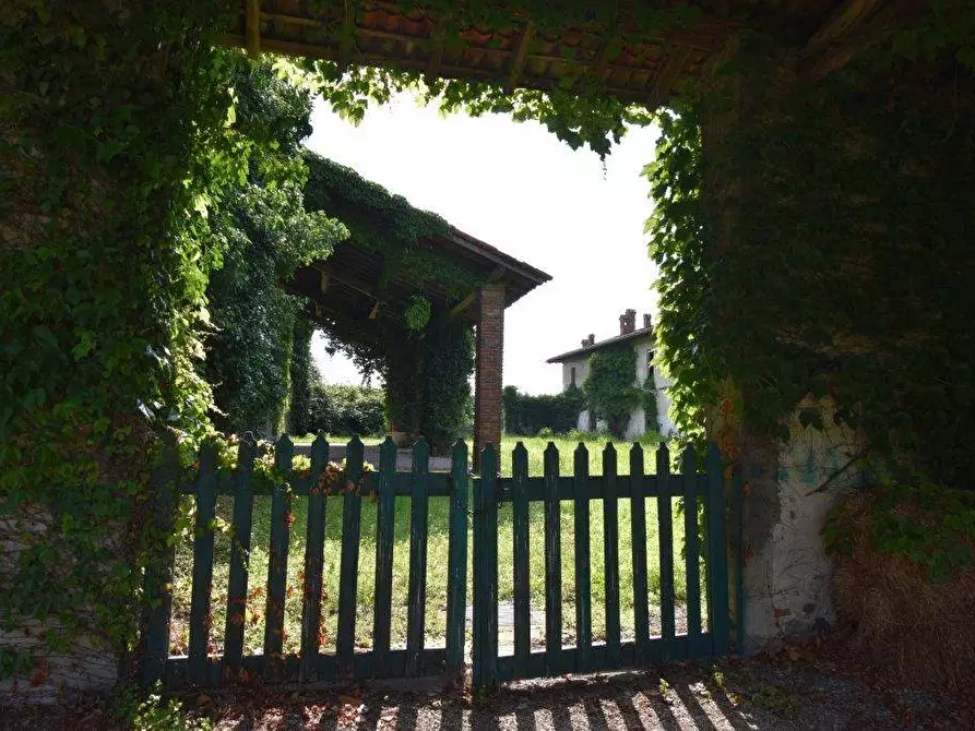 Immagine 48 di Azienda agricola in vendita  in TICINO a Cameri