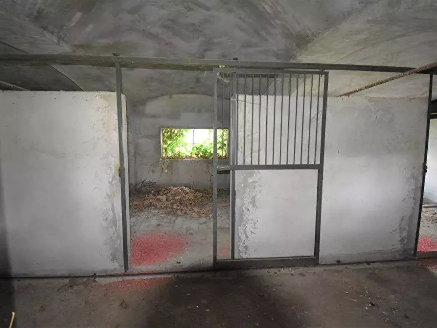 Immagine 52 di Azienda agricola in vendita  in TICINO a Cameri