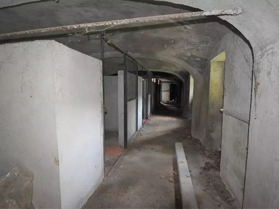 Immagine 53 di Azienda agricola in vendita  in TICINO a Cameri