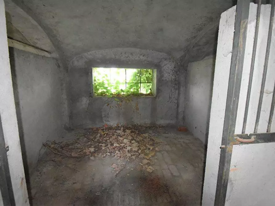 Immagine 54 di Azienda agricola in vendita  in TICINO a Cameri