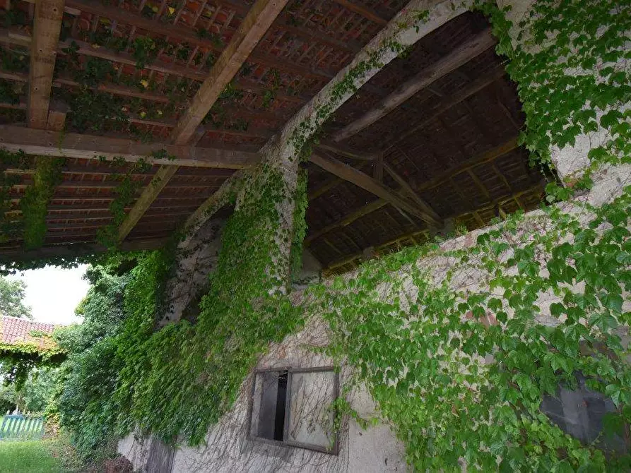 Immagine 55 di Azienda agricola in vendita  in TICINO a Cameri