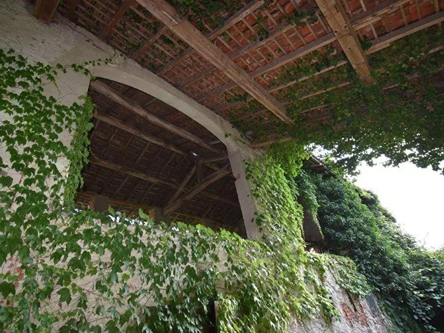 Immagine 56 di Azienda agricola in vendita  in TICINO a Cameri