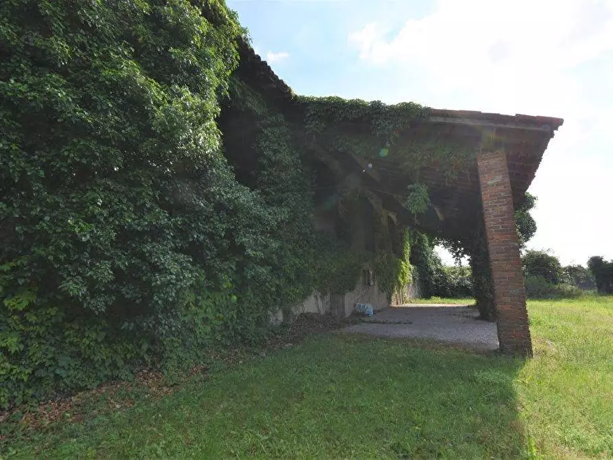 Immagine 57 di Azienda agricola in vendita  in TICINO a Cameri