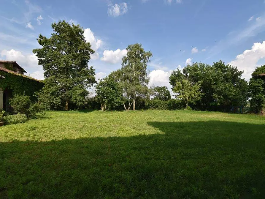 Immagine 61 di Azienda agricola in vendita  in TICINO a Cameri