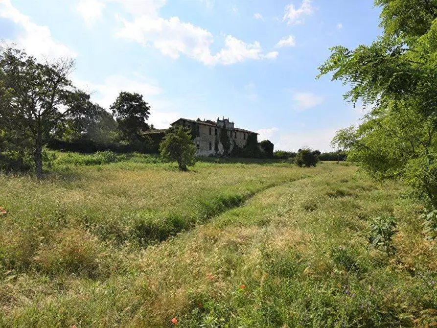 Immagine 63 di Azienda agricola in vendita  in TICINO a Cameri