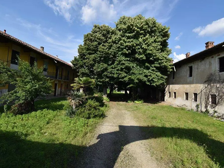 Immagine 67 di Azienda agricola in vendita  in TICINO a Cameri