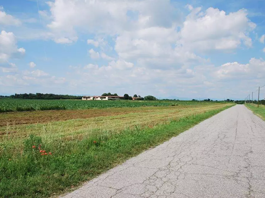 Immagine 69 di Azienda agricola in vendita  in TICINO a Cameri
