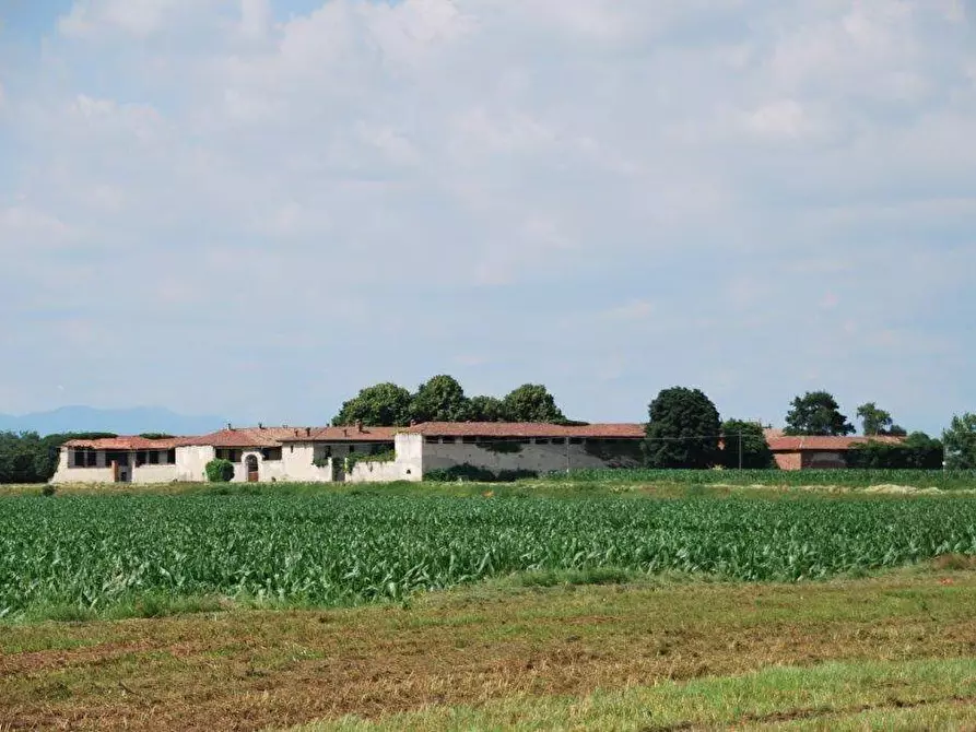 Immagine 70 di Azienda agricola in vendita  in TICINO a Cameri