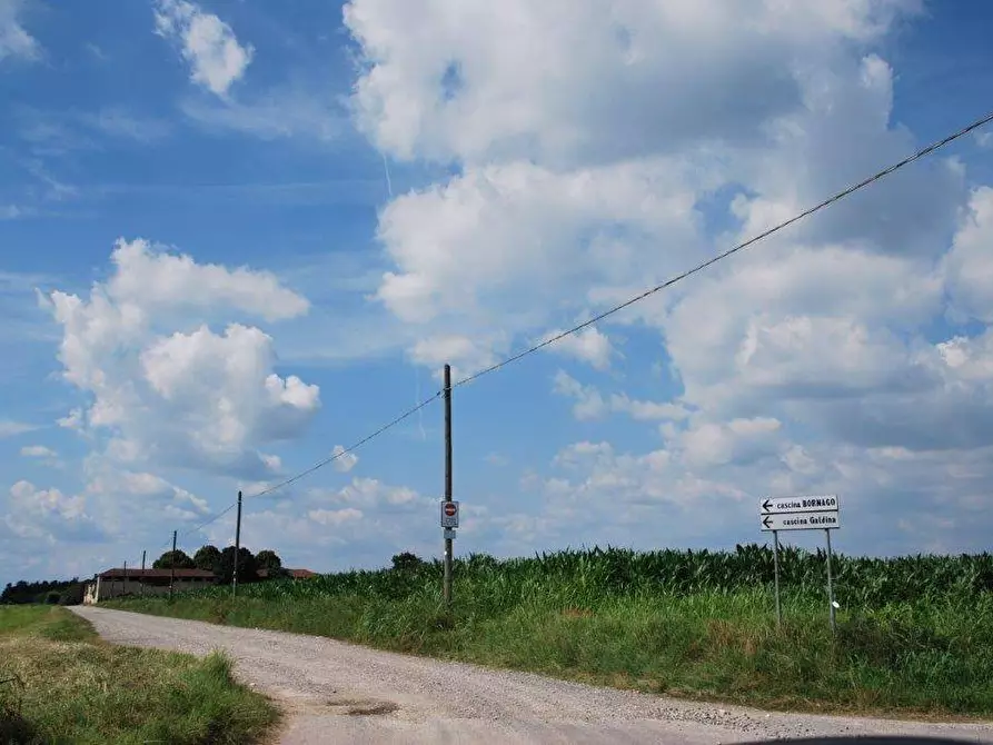 Immagine 71 di Azienda agricola in vendita  in TICINO a Cameri