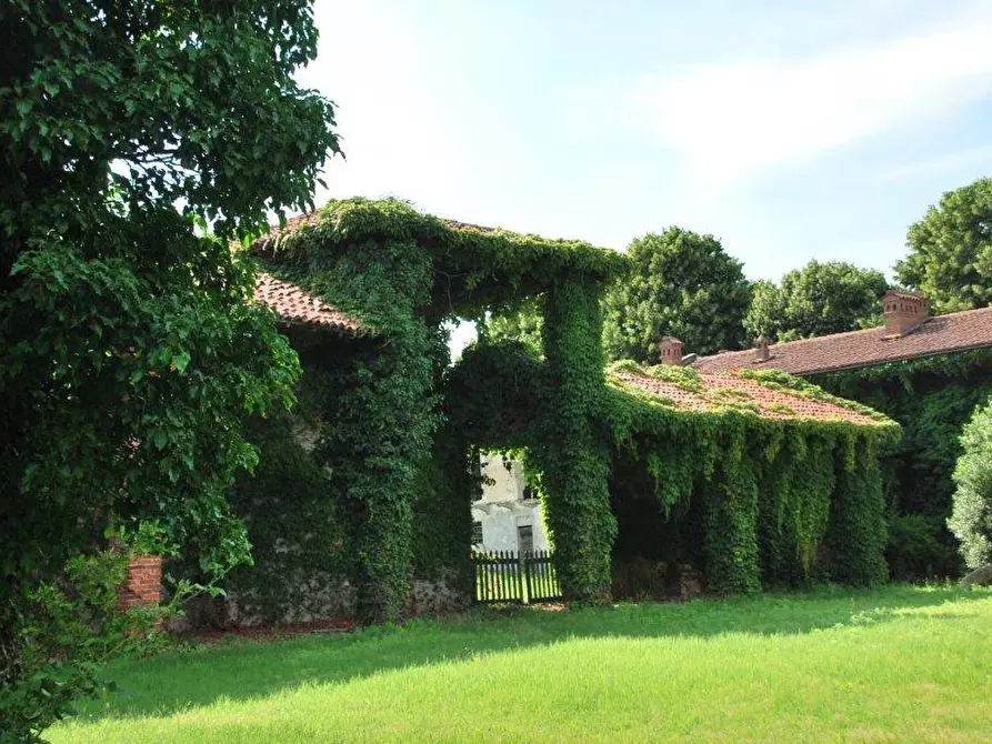 Immagine 74 di Azienda agricola in vendita  in TICINO a Cameri