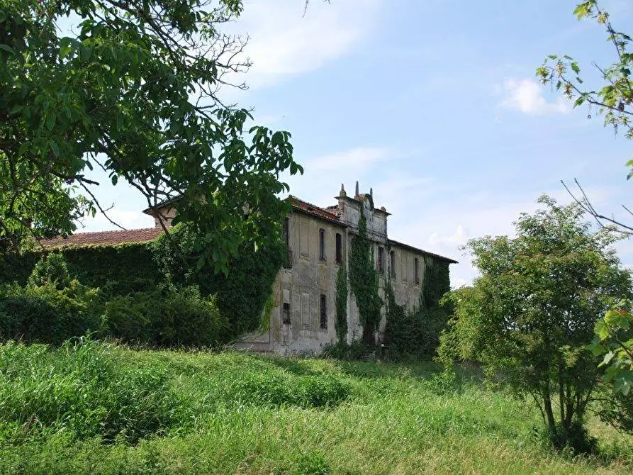 Immagine 75 di Azienda agricola in vendita  in TICINO a Cameri