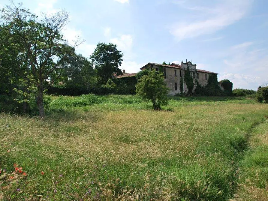 Immagine 76 di Azienda agricola in vendita  in TICINO a Cameri