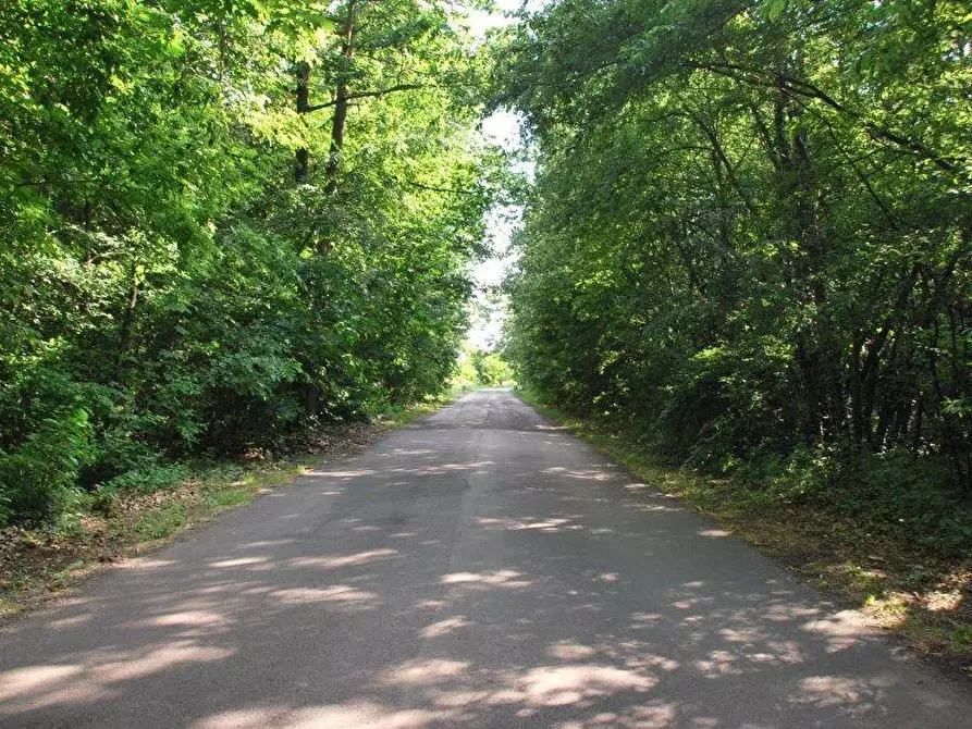 Immagine 82 di Locale commerciale in vendita  in TICINO a Cameri