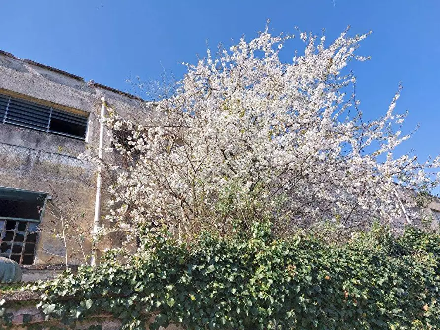 Immagine 21 di Terreno residenziale in vendita  in VIA ROMA a Turbigo