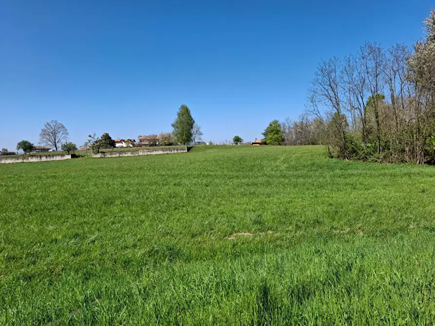 Immagine 7 di Terreno residenziale in vendita  in VIA LEOPARDI a Agrate Conturbia