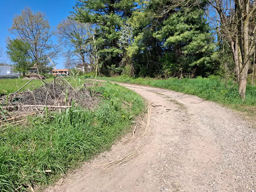Immagine 30 di Terreno residenziale in vendita  in VIA LEOPARDI a Agrate Conturbia