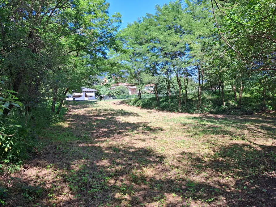 Immagine 13 di Terreno residenziale in vendita  in VIA OLIVE a Laveno-Mombello