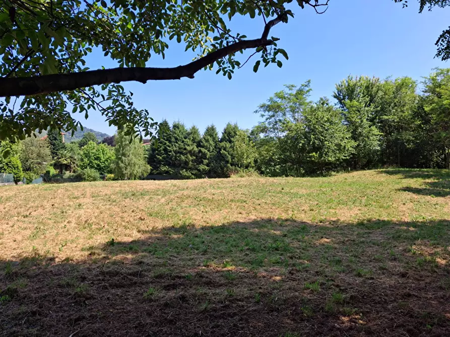 Immagine 3 di Terreno residenziale in vendita  in VIA OLIVE a Laveno-Mombello