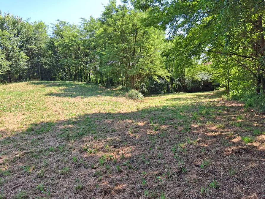 Immagine 5 di Terreno residenziale in vendita  in VIA OLIVE a Laveno-Mombello