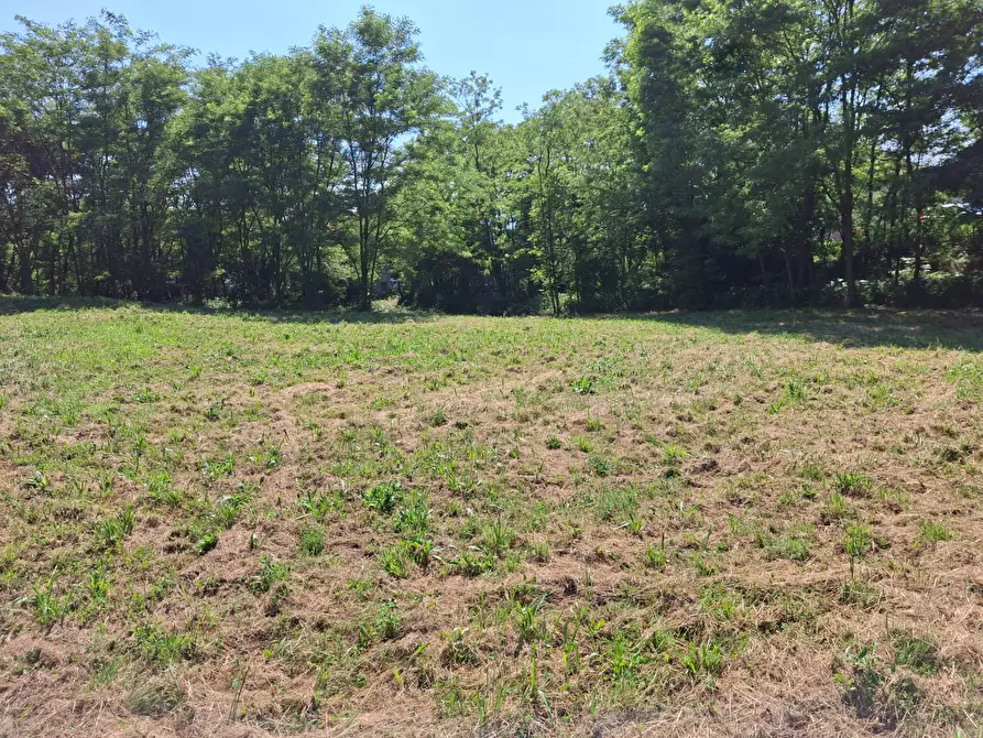 Immagine 11 di Terreno residenziale in vendita  in VIA OLIVE a Laveno-Mombello