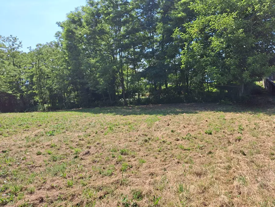 Immagine 12 di Terreno residenziale in vendita  in VIA OLIVE a Laveno-Mombello